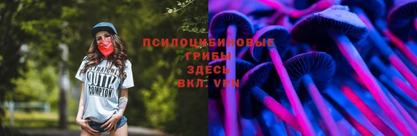 шишки Абдулино