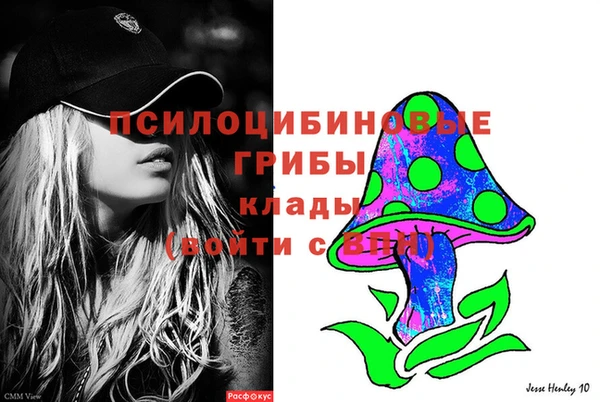 трава Абаза