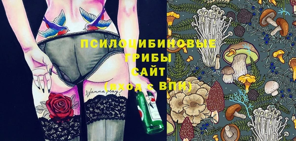 трава Абаза