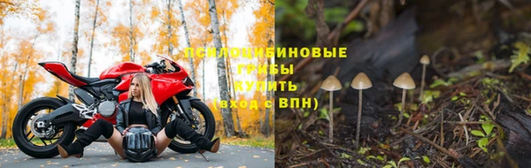первитин Пролетарск